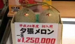 吃瓜娱乐群众1号,揭秘娱乐圈幕后故事