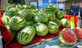 濮阳网红吃瓜事件真相,真相背后的网络狂欢与反思